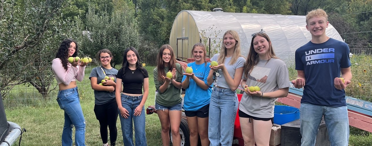 RHS Stuco Picking Pears for Food Bank